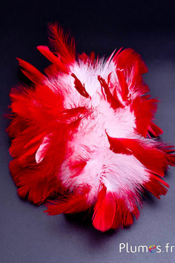 Dinde mèche  - Ø 18 cm - blanc-rouge